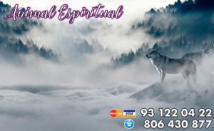 conoce tu animal espiritual